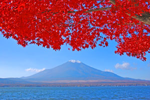 山中湖の紅葉と富士山
